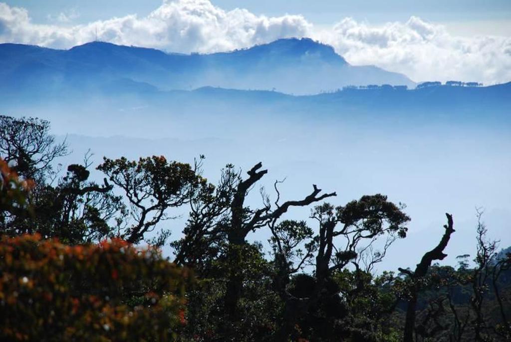 Jetwing St Andrew'S Hotel Nuwara Eliya Bagian luar foto